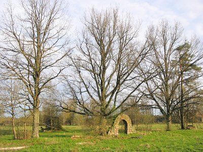 Кладбище солдат 1-й мировой войны