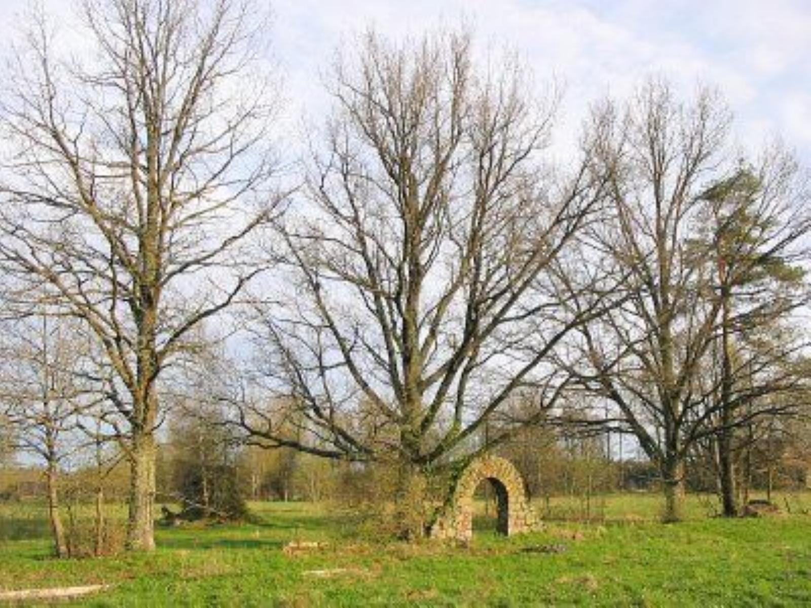 Кладбище солдат 1-й мировой войны Кладбище солдат 1-й мировой войны