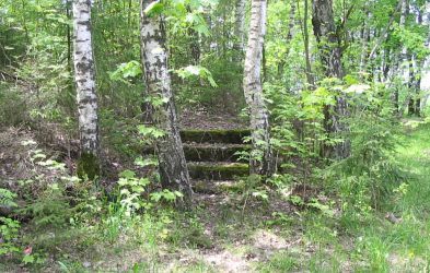 Пограничная застава польская /сохр. фундамент/