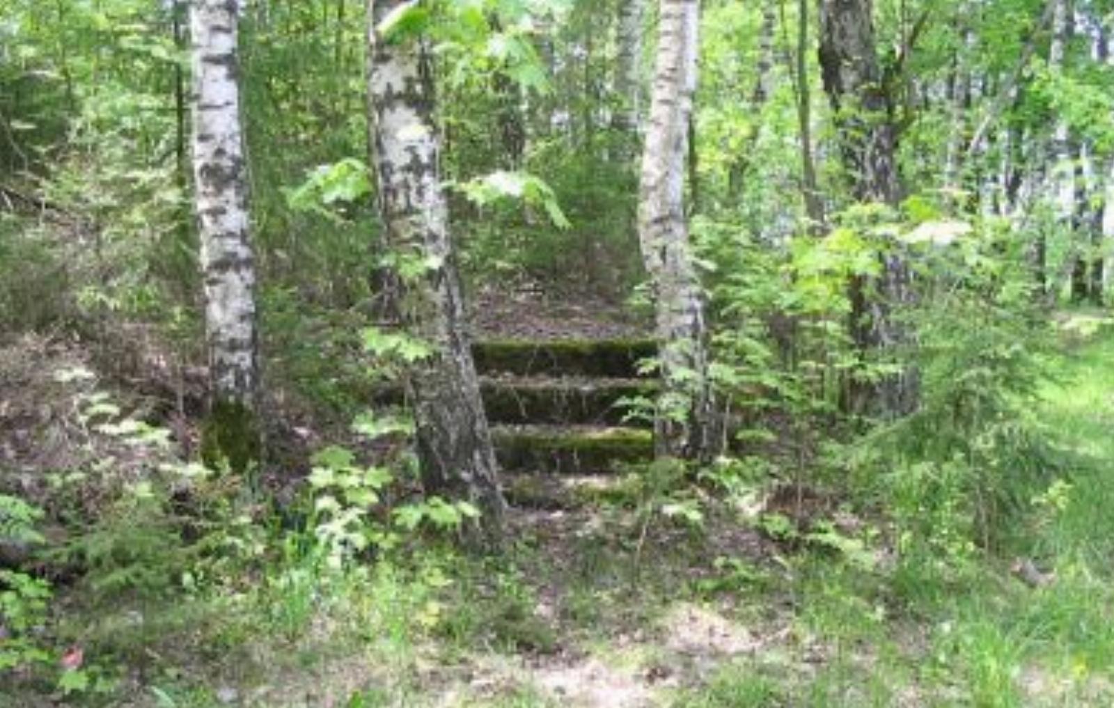 Пограничная застава польская /сохр. фундамент/ Пограничная застава польская /сохр. фундамент/