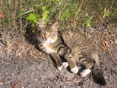 Фотозарисовки