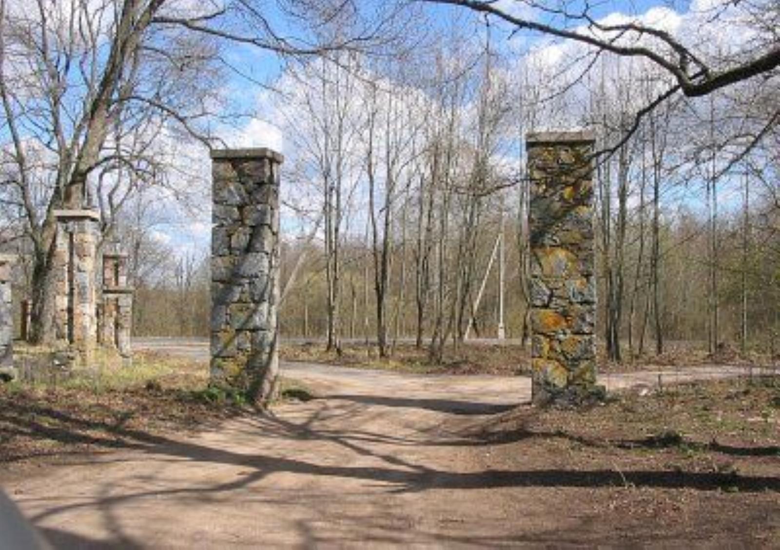 Брама Брама