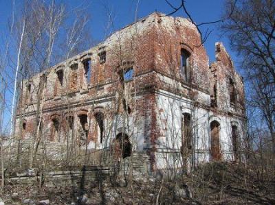 Усадебный дом (?)