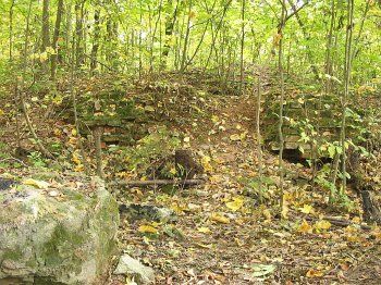 Усадебный дом /сохр. фундамент/