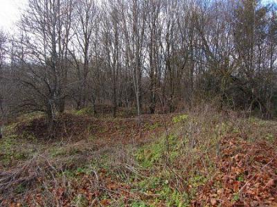 Усадьба Яхимово