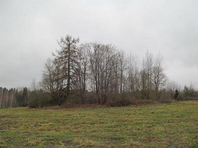 Место усадьбы Ротковщина