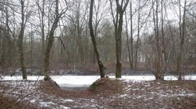 Парк (фрагменты)