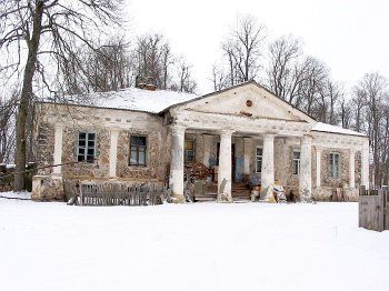 Флигель левый