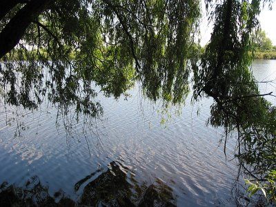 Фотозарисовки