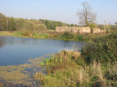 Хозпостройка (руины)