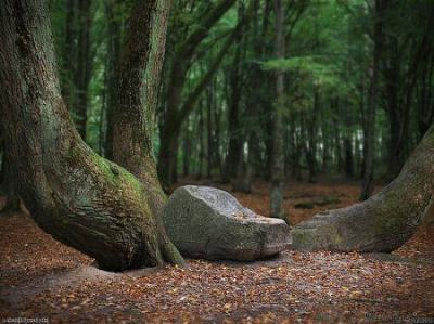 Каменное ложе
