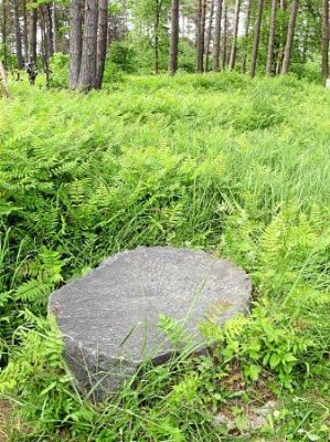 Могилы солдат 1-й мировой войны