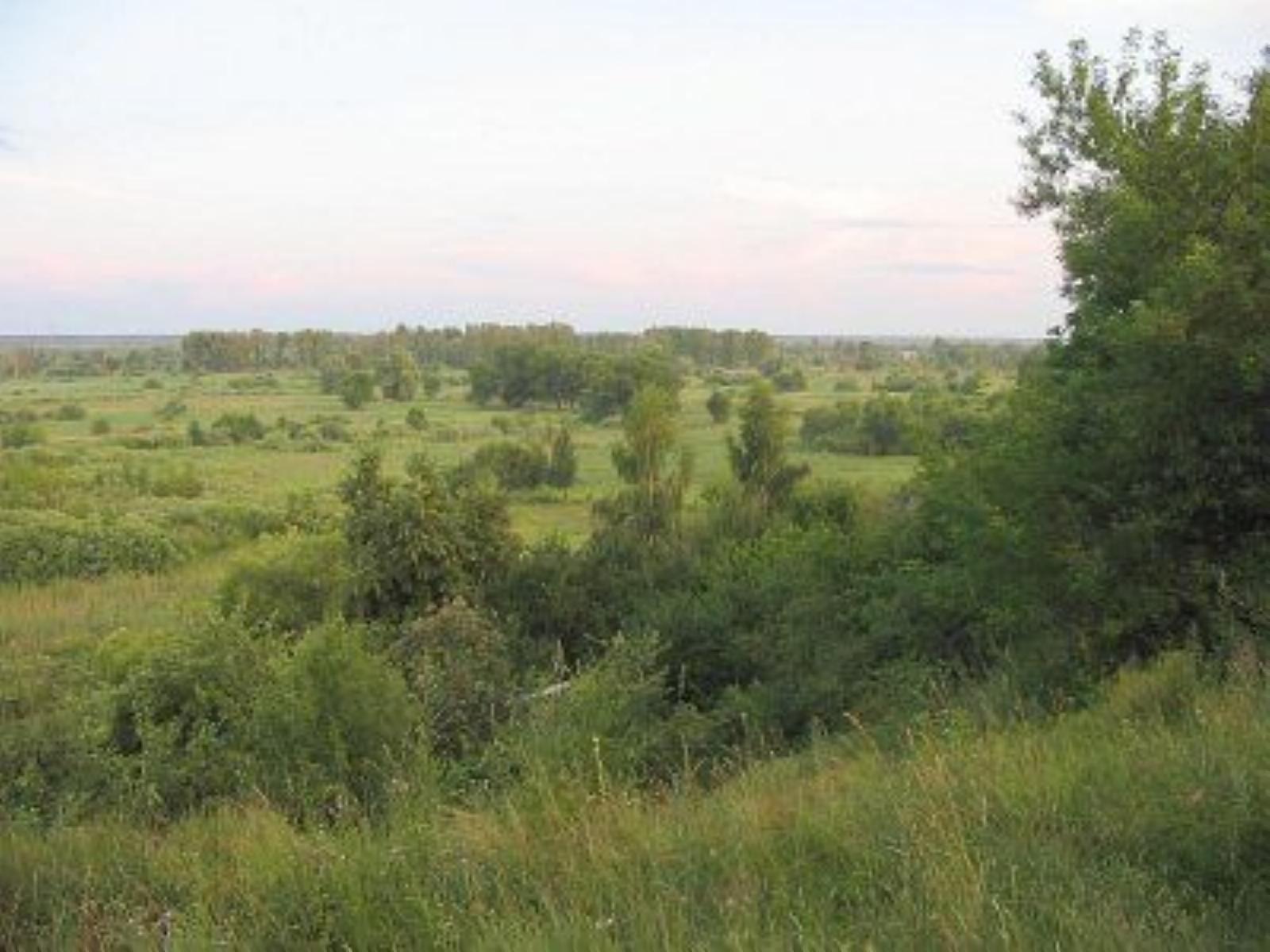 Фотозарисовки Фотозарисовки