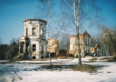 Усадебный дом (руины)