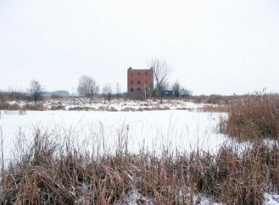 Паровая мельница (?)