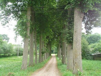 Парк (фрагменты)