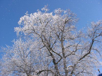 Фотозарисовки