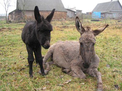 Фотозарисовки