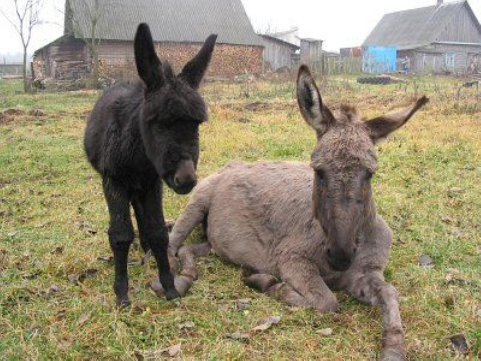 Фотозарисовки Фотозарисовки