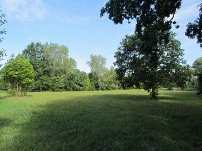 Парк (фрагменты)