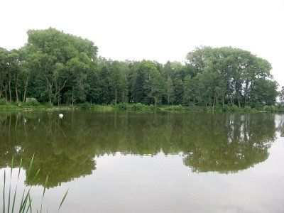 Парк (фрагменты)