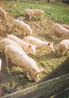 Фотозарисовки