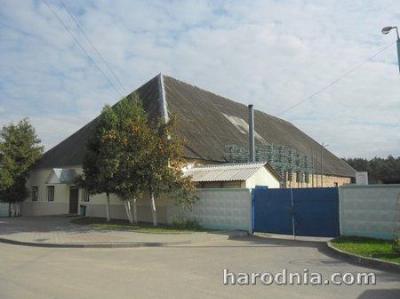 Усадебный дом (?)