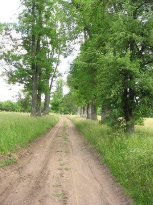 Парк (фрагменты)