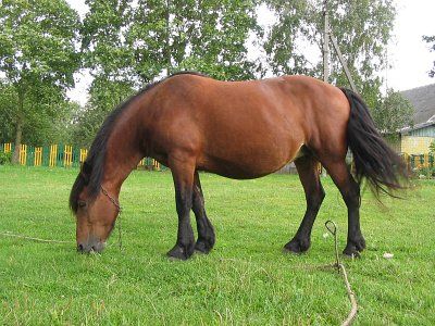 Фотозарисовки