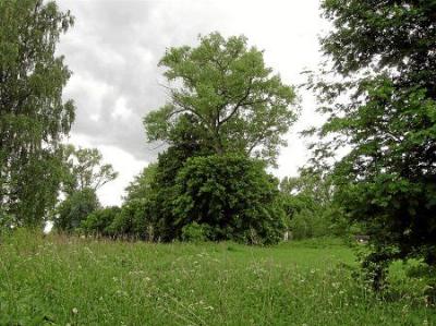 Парк (фрагменты)