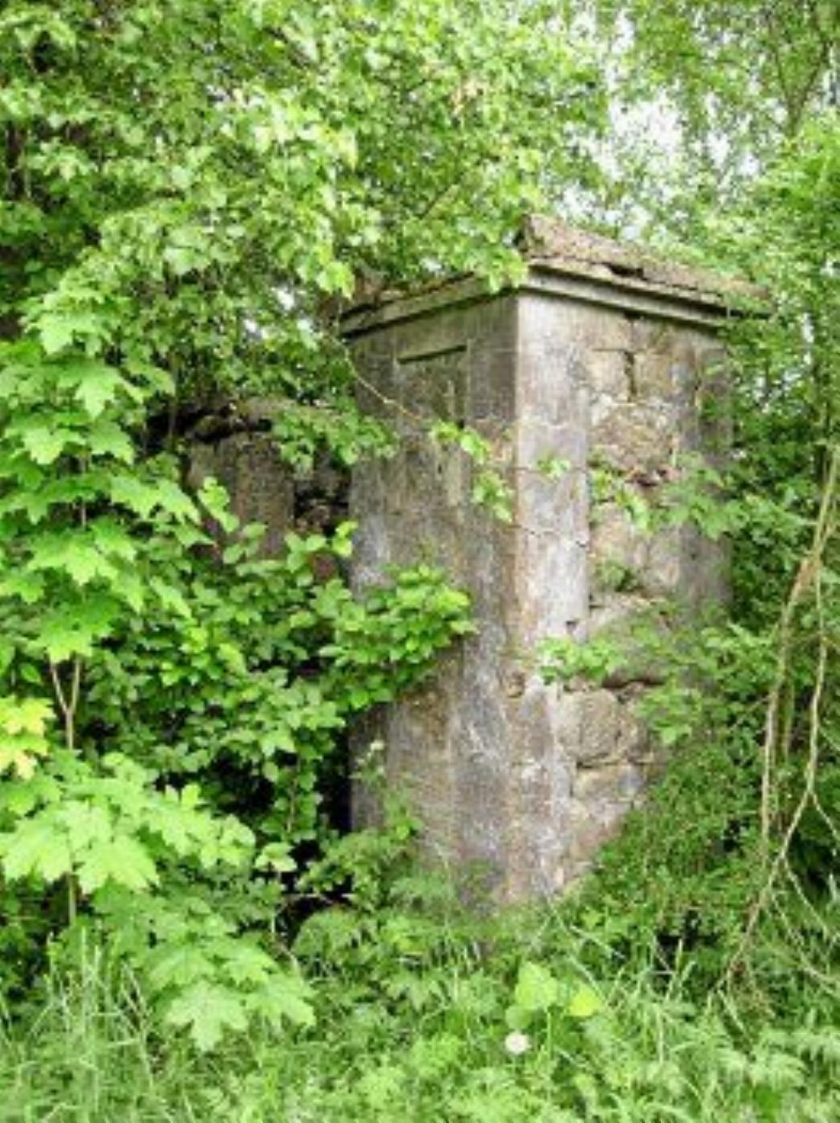 Брама Брама