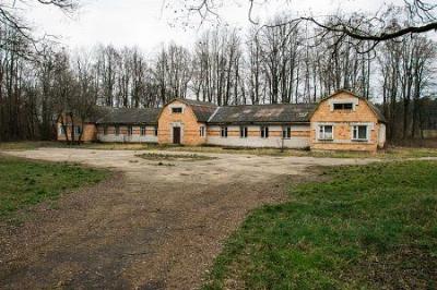 Усадебный дом (дерев.) (?)