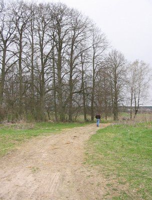 Парк (фрагменты)