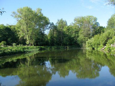 Парк (фрагменты)