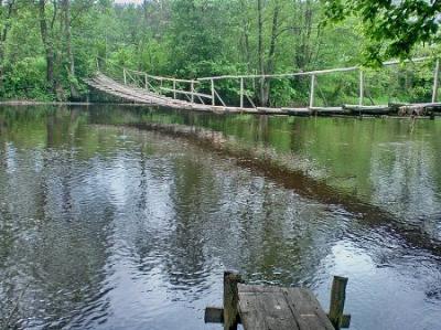 Мост подвесной (дерев.)