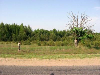 Фотозарисовки