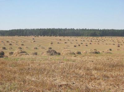 Фотозарисовки