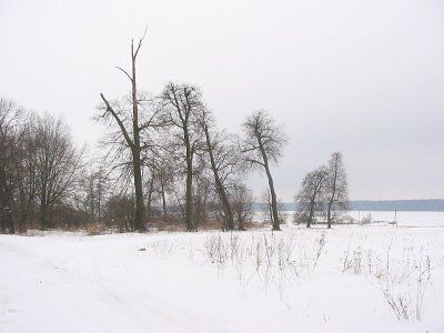 Парк (фрагменты)