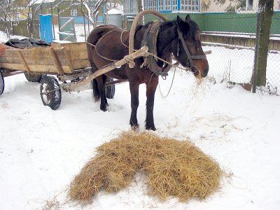 Фотозарисовки