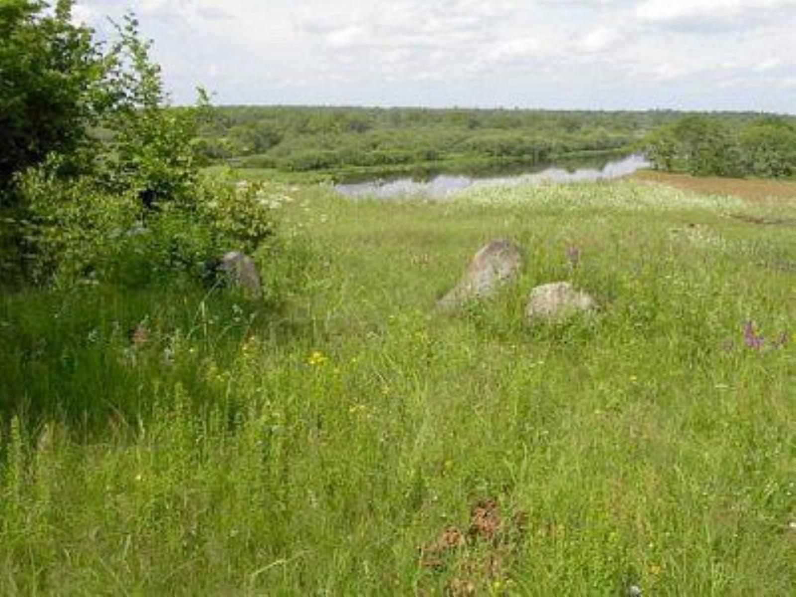 Кладбище еврейское Кладбище еврейское