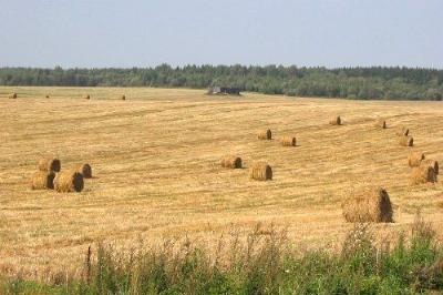 Фотозарисовки