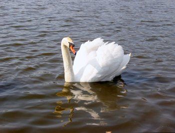 Фотозарисовки