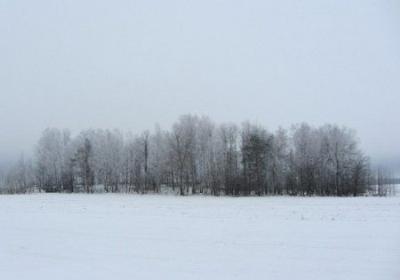 Кладбище еврейское
