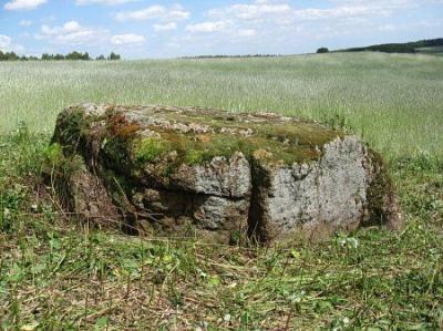 Валун Студенецкий