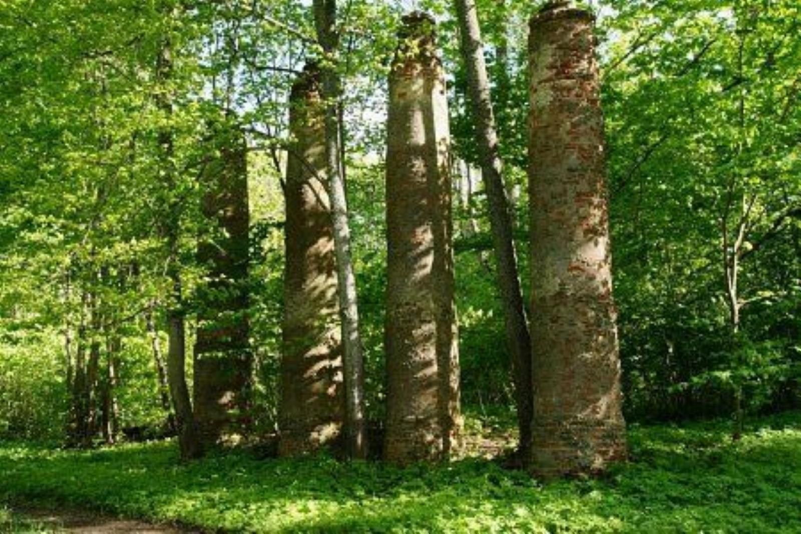 Усадебный дом /сохр. колонны/ Усадебный дом /сохр. колонны/