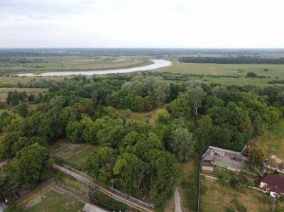 Парк (фрагменты)