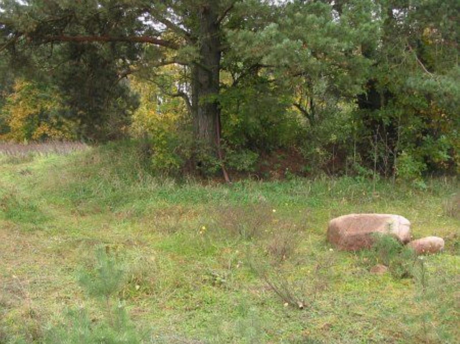 Кладбище солдат 1-й мировой войны Кладбище солдат 1-й мировой войны
