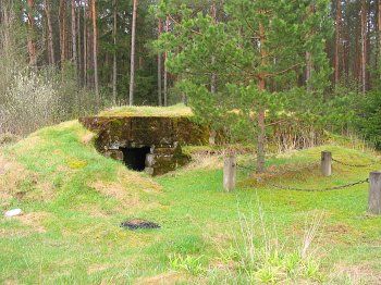 Дот немецкий