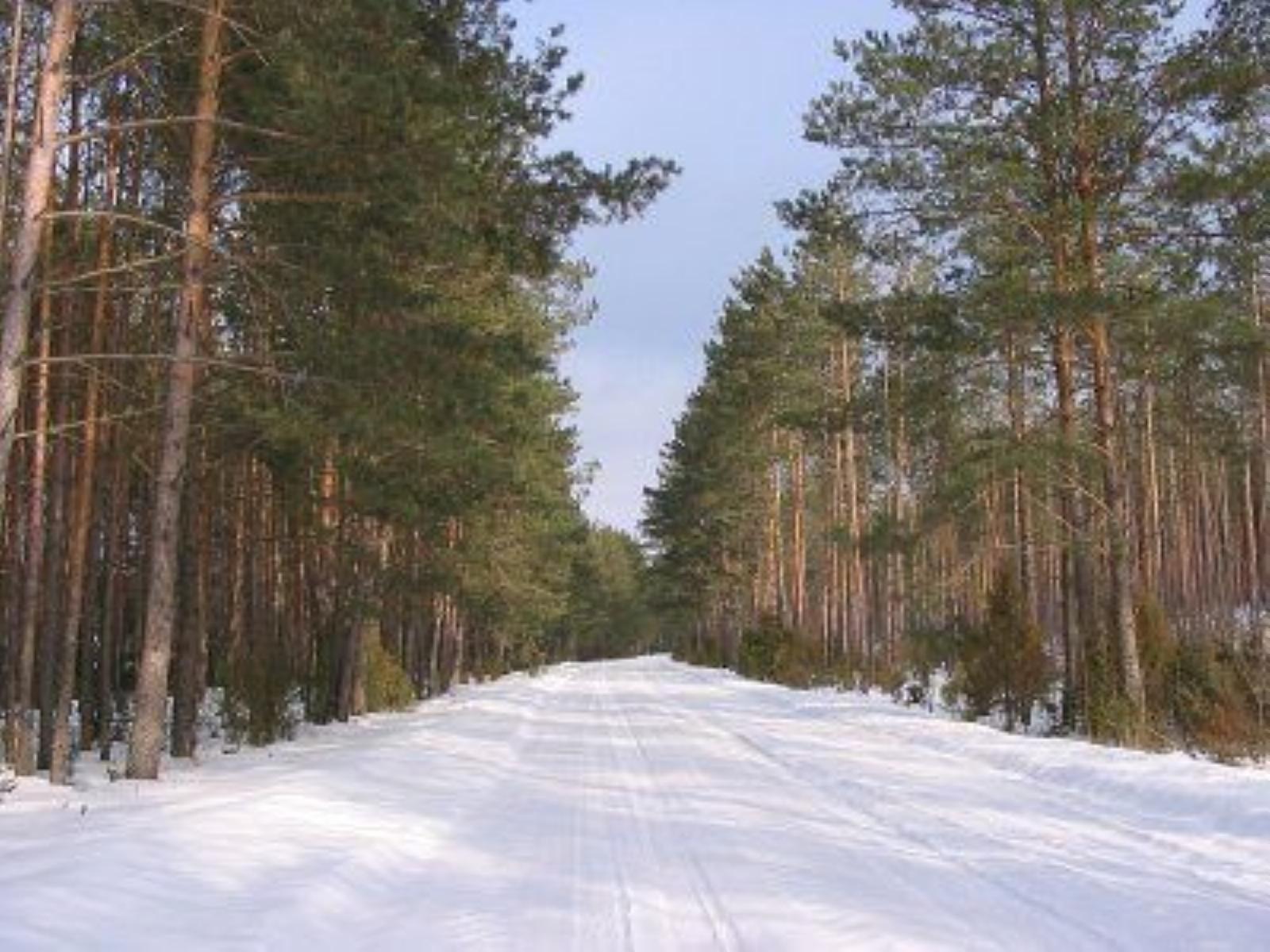 Фотозарисовки Фотозарисовки