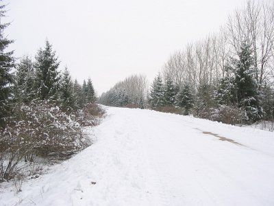 Фотозарисовки